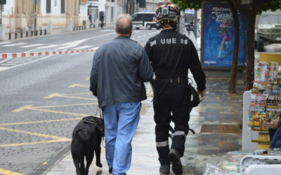 La UME es premiada por su trabajo en la crisis sanitaria provocada por el COVID-19