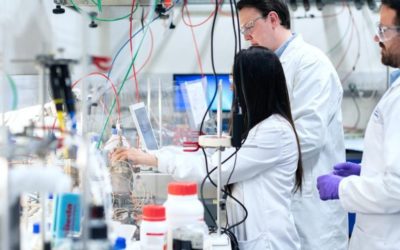 Ciencia e Innovación destina 14,6 millones a 165 ayudas para la contratación de personal investigador en empresas