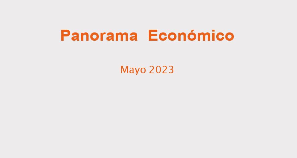 PANORAMA ECONÓMICO MAYO 2023