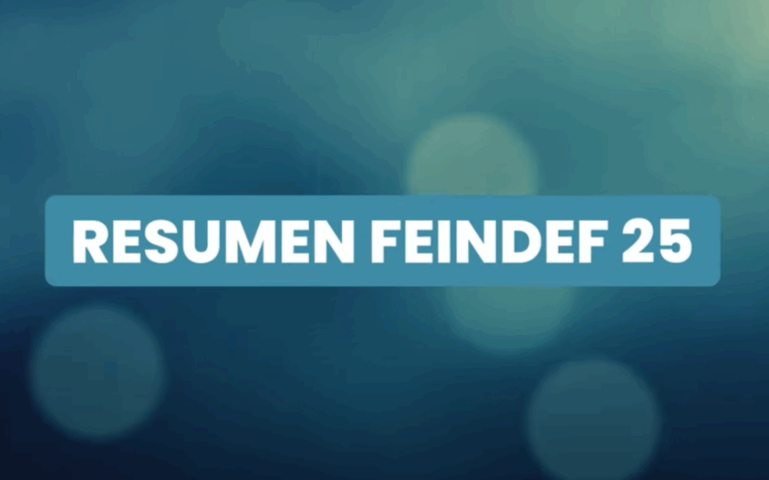 Vídeo resumen FEINDEF 25