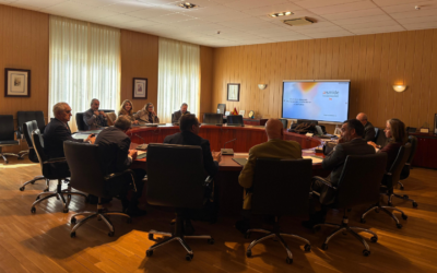 JUNTA DIRECTIVA AESMIDE