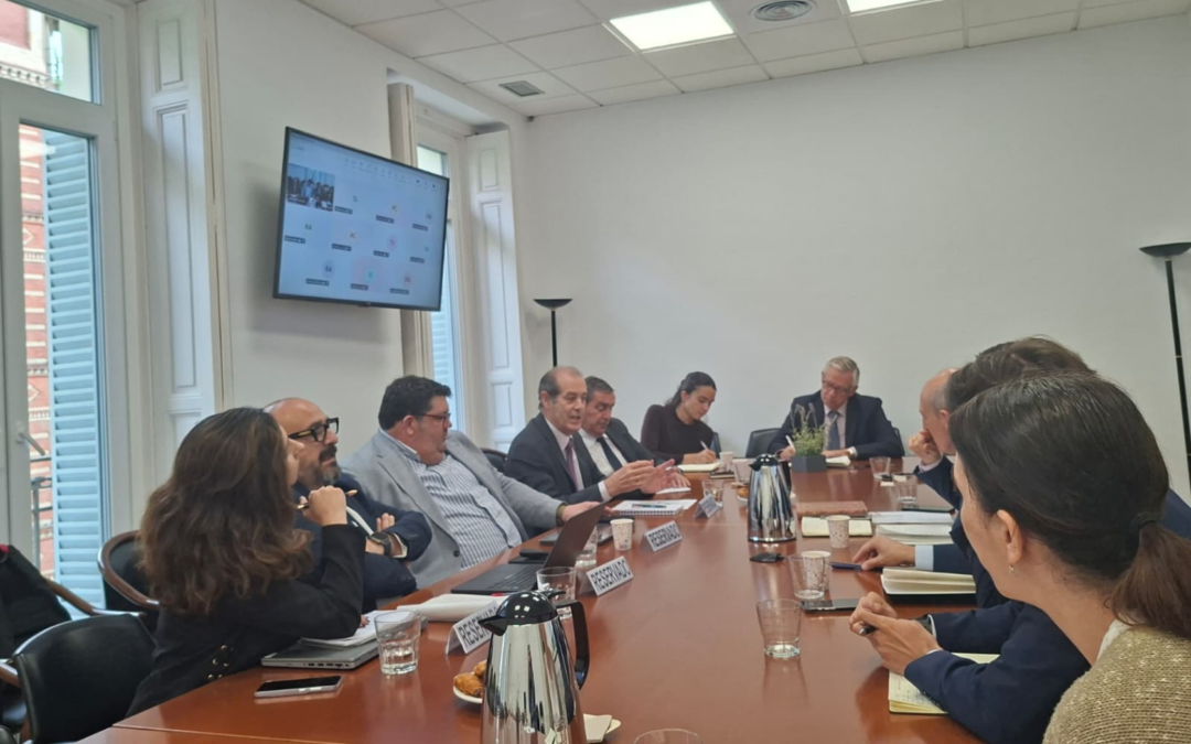AESMIDE celebra la 17ª convocatoria del Grupo de Trabajo EDAP
